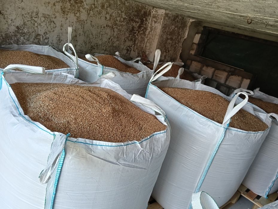 Sprzedam przenice ozimą Chewinion