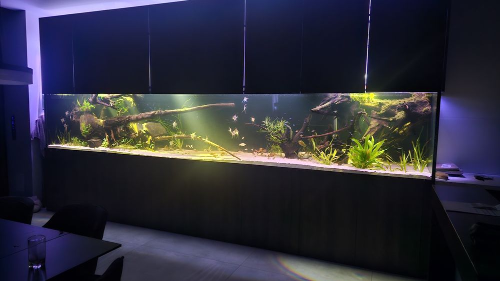 Korzenie do akwarium