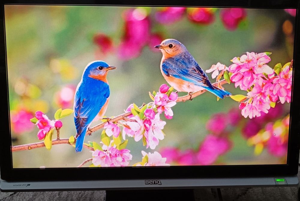 Monitor 21,5" BenQ