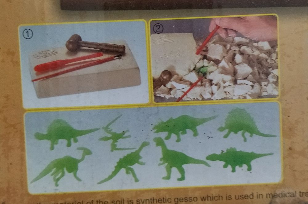 Wykopaliska dinozaurów.