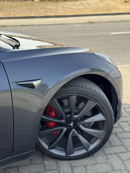 Tesla model 3 performance 2019