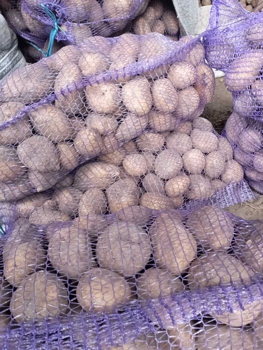 Продам картоплю велику та дрібну на корм, Велика по 12, Дрібна по 3