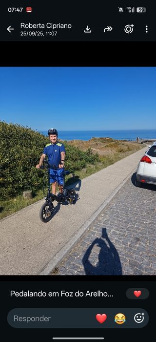Fiido D3 Pro bike