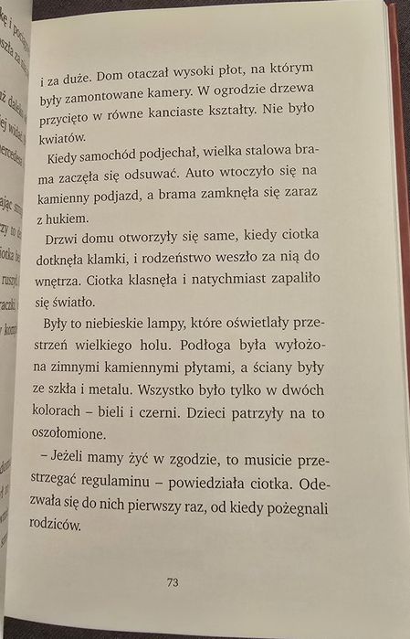 Magiczne drzewo. Czerwone krzesło