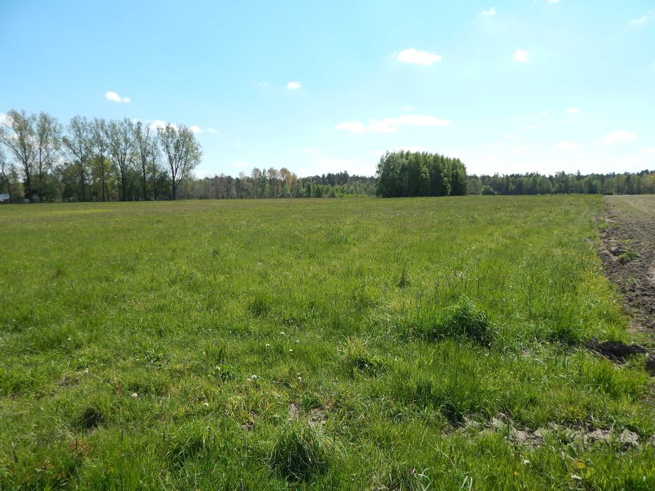 Działka   1110 m2 W.Z.