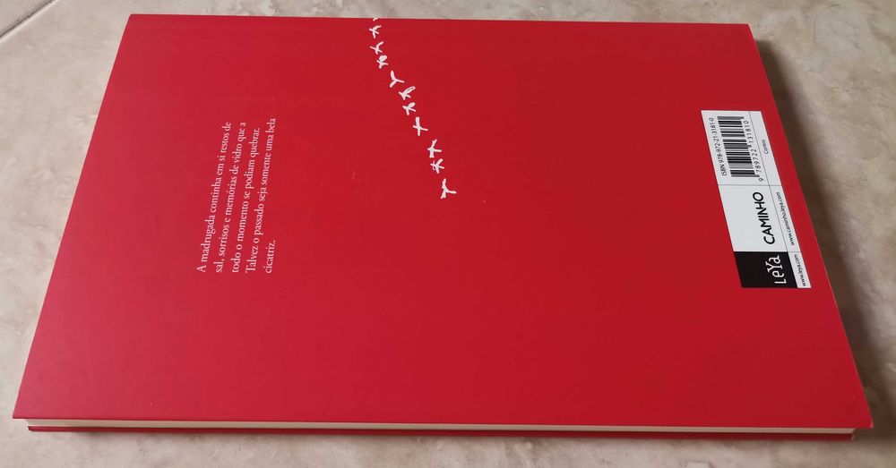 Portes Grátis - Vou Mudar a Cozinha