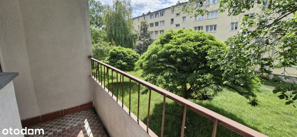 Łódź Dąbrowa 3 Pokoje 1p Do Remontu Balkon Nowa Instalacja Elektryczna