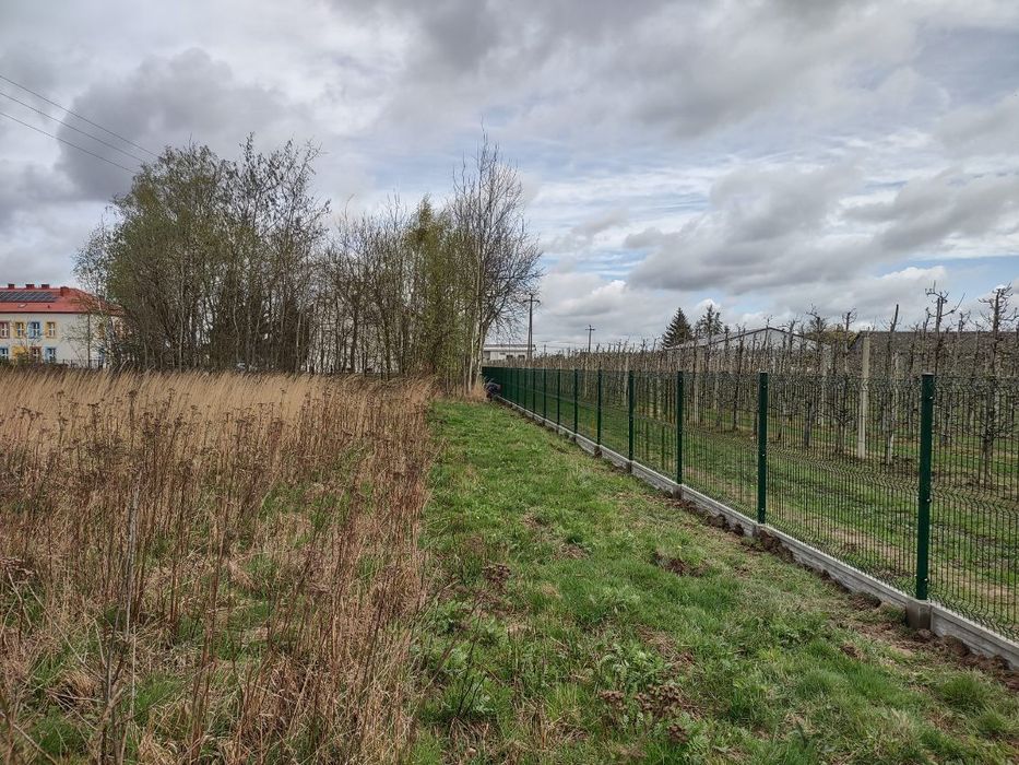 Montaż ogrodzeń betonowych,panelowych  i siatkowych