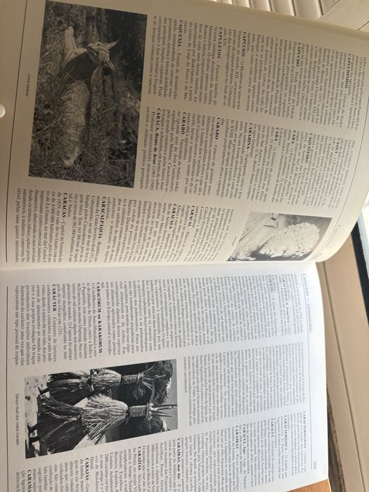Enciclopedia portuguesa