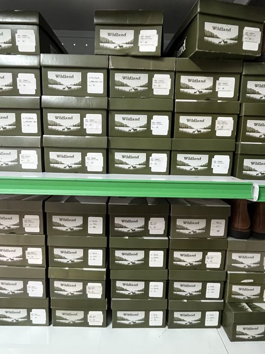 Lote de Botas, Botins e Sapatos