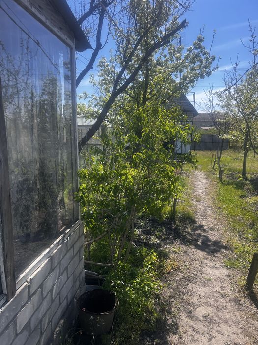 Продам доглянуту дачу   (БІЛЯ ВОДИ )Чикалівка