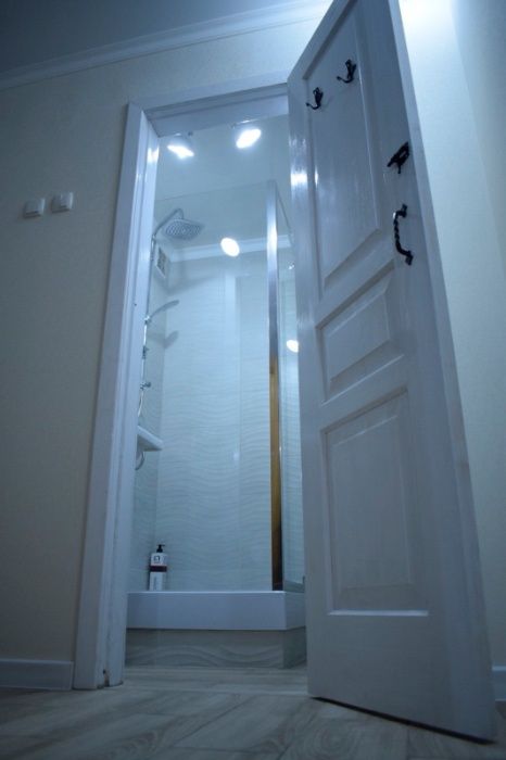 НОВА простора квартира подобово, Центр