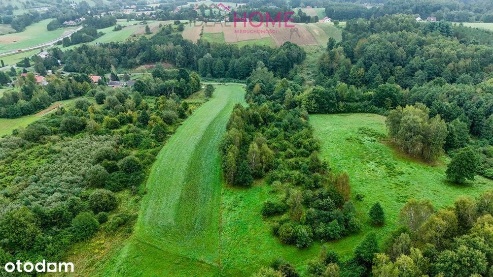 Nowy Borek 1,3675 ha- w trakcie Wz zagrodowa