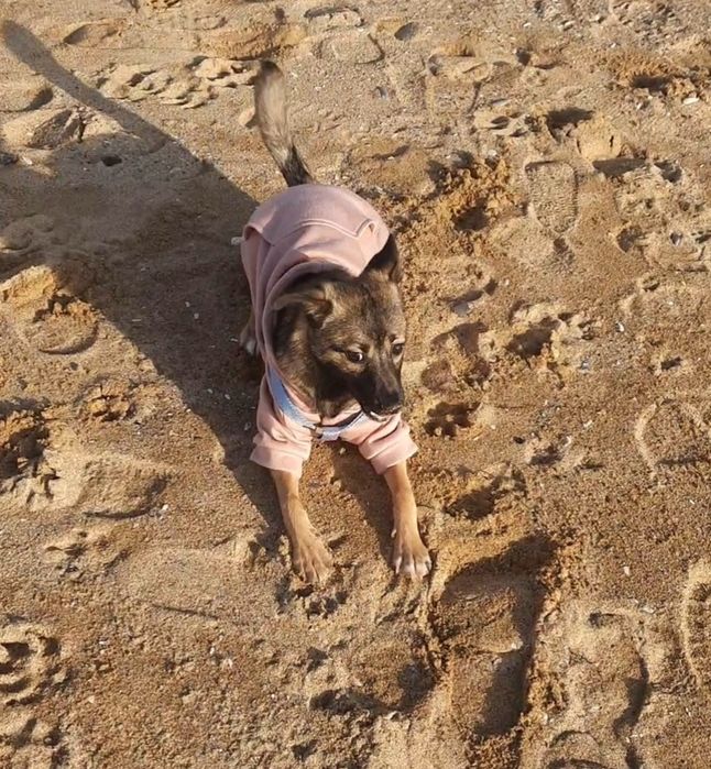 Мила  Бетті шукає родину