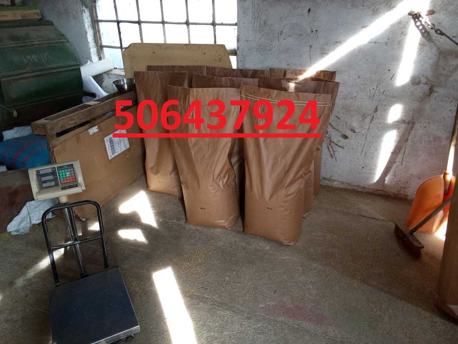 EKO Mieszanki Traw, Mieszanki Kośno-Pastwiskowe, Koniczyna, Lucerna