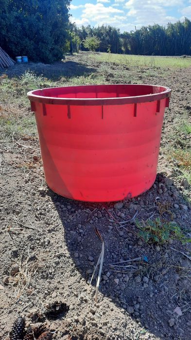 Tina de Vindimas - 1.000 Litros.