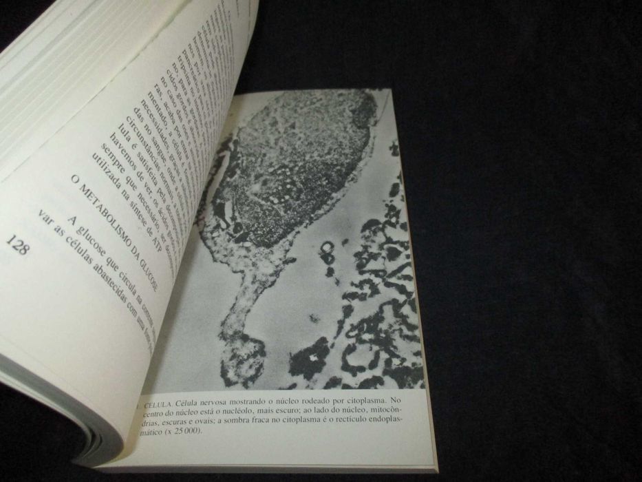 Livro A Química da Vida Steven Rose