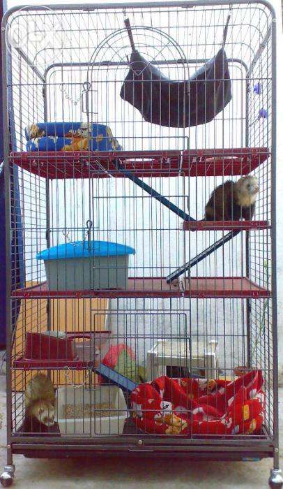 Gaiola nova para furão ou chinchila de 3 Pisos