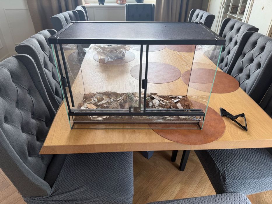 Terrarium dla zowia