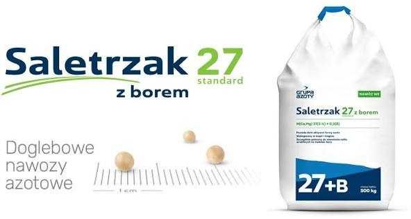 Saletrzak z Borem