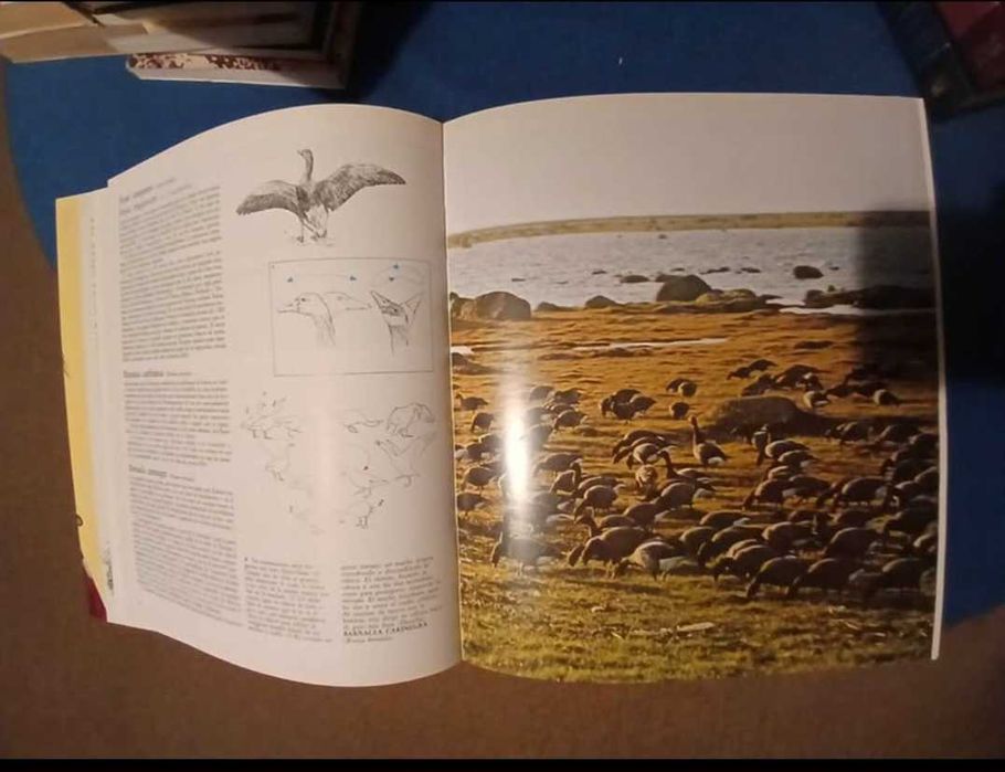 O grande livro da Caça