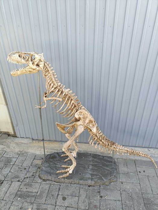 Escoleto de dinossauro