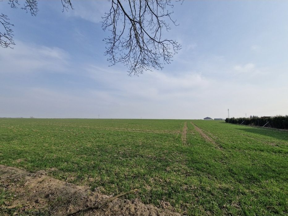 Działka budowlana 1957 m² z warunkami zabudowy