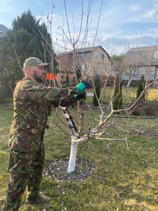 Обрізка саду, весняна обробка