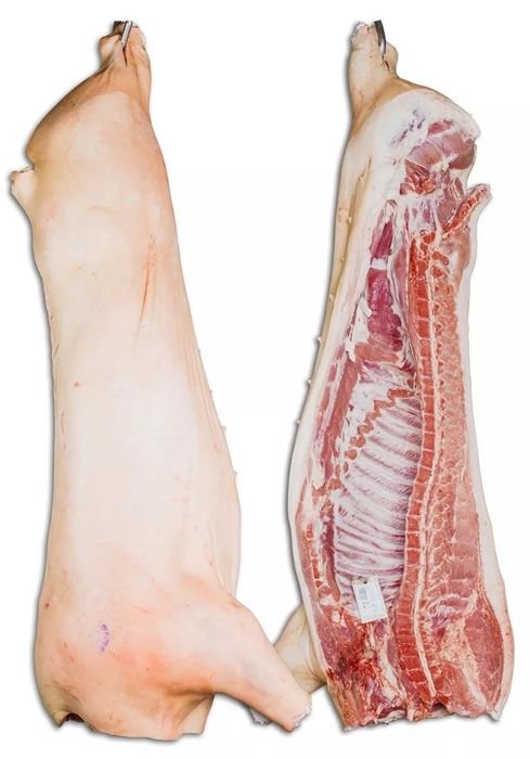 Продам туші Свинини