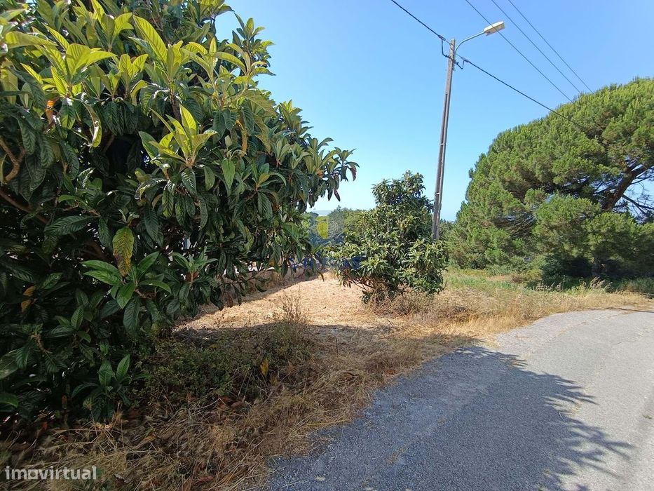 Terreno com 550m2 em Salir do Porto, com possibilidade de construir um