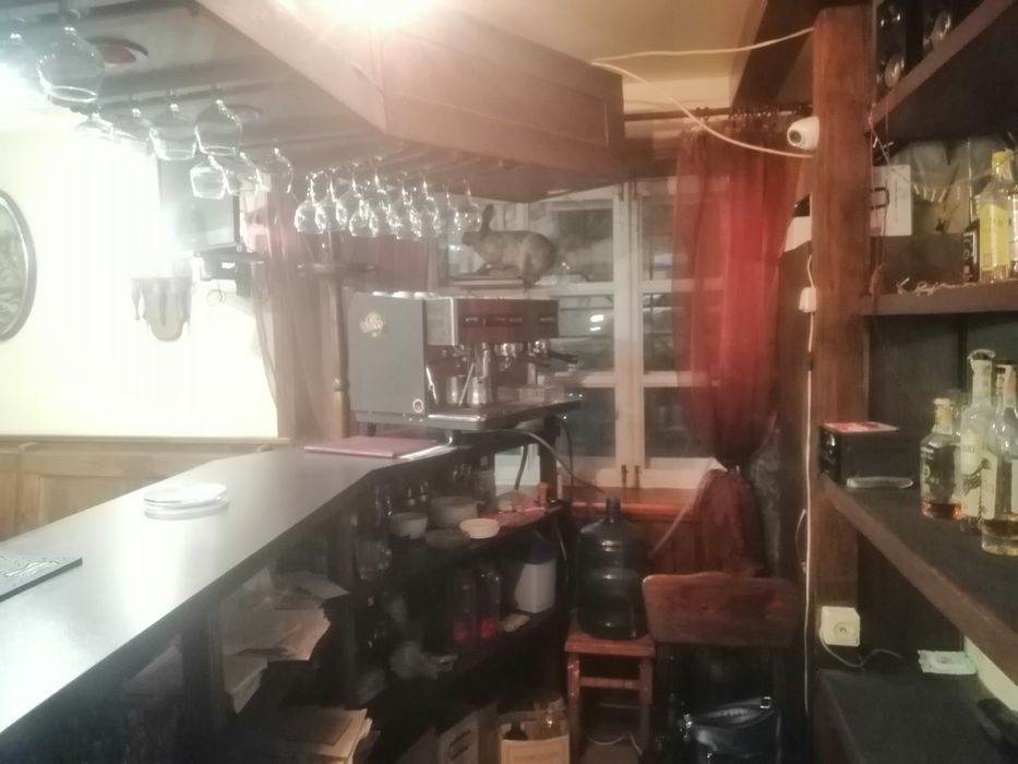 Сдам ресторан в Центре ул.Счевых Стрельцов