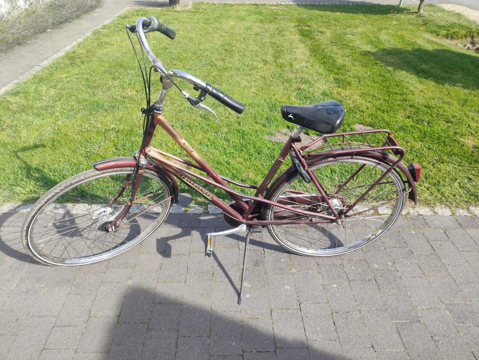 Rower damski Batavus