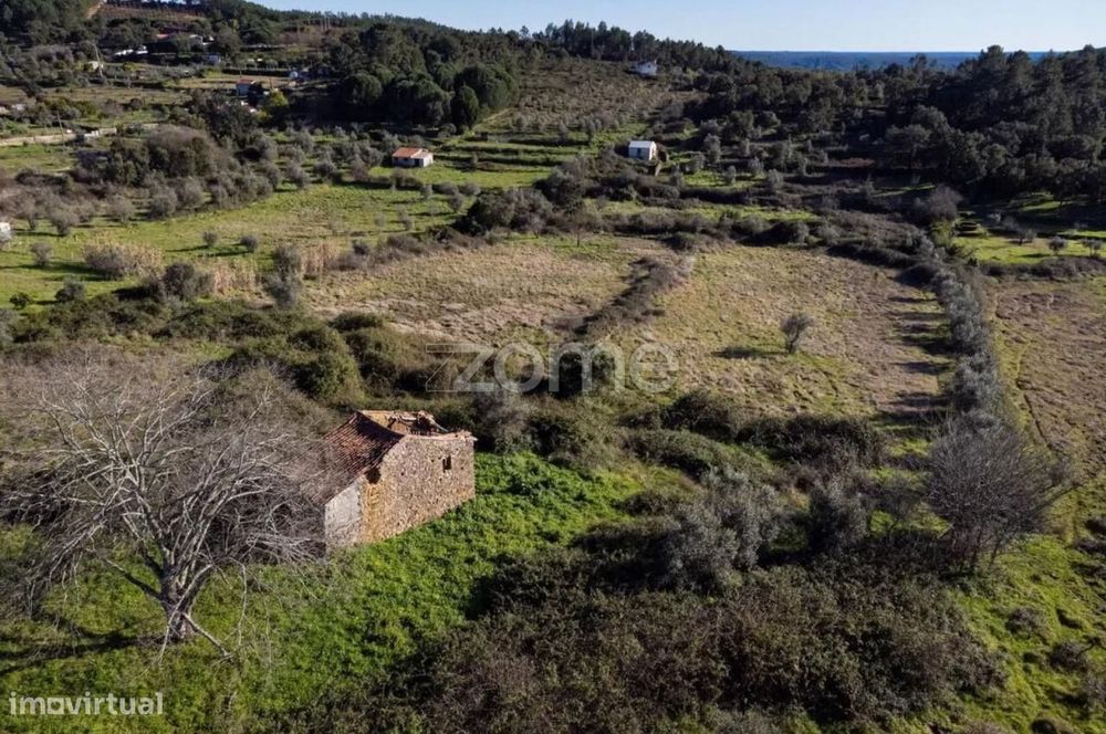 Terreno Urbanizável › Mação › Santarém