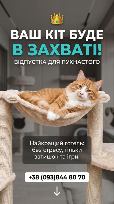 Готель для котусиків «Чешир»