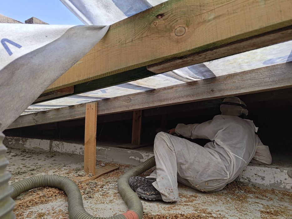 Naprawy dachów po kunach Naprawa dachu po KUNIE wdmuchiwanie celulozy