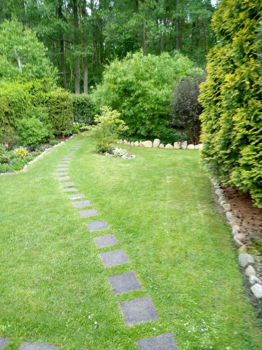 Działka ROD w Regnach