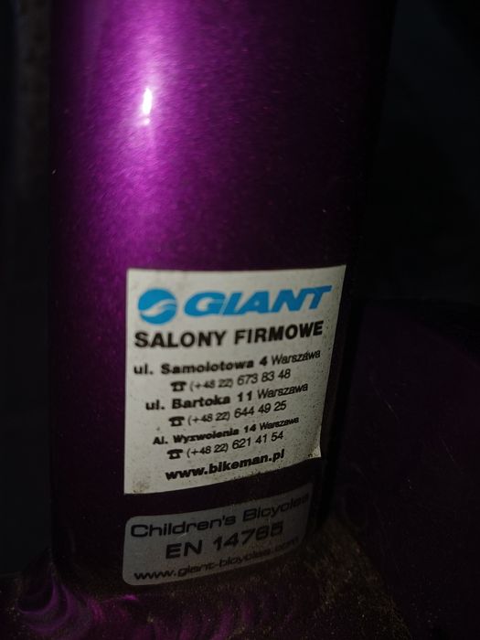 Rower dziecięcy Giant