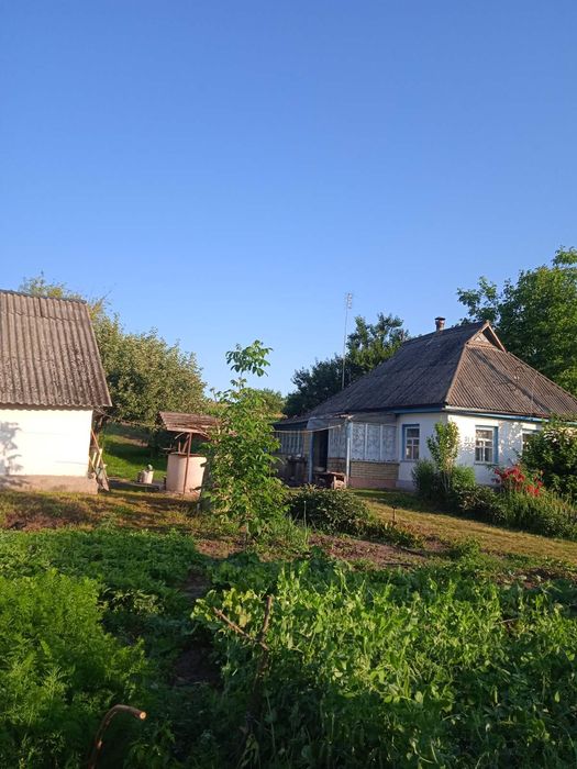 Продається будинок с.Голов'ятине Черкаський район 067 943 97 00