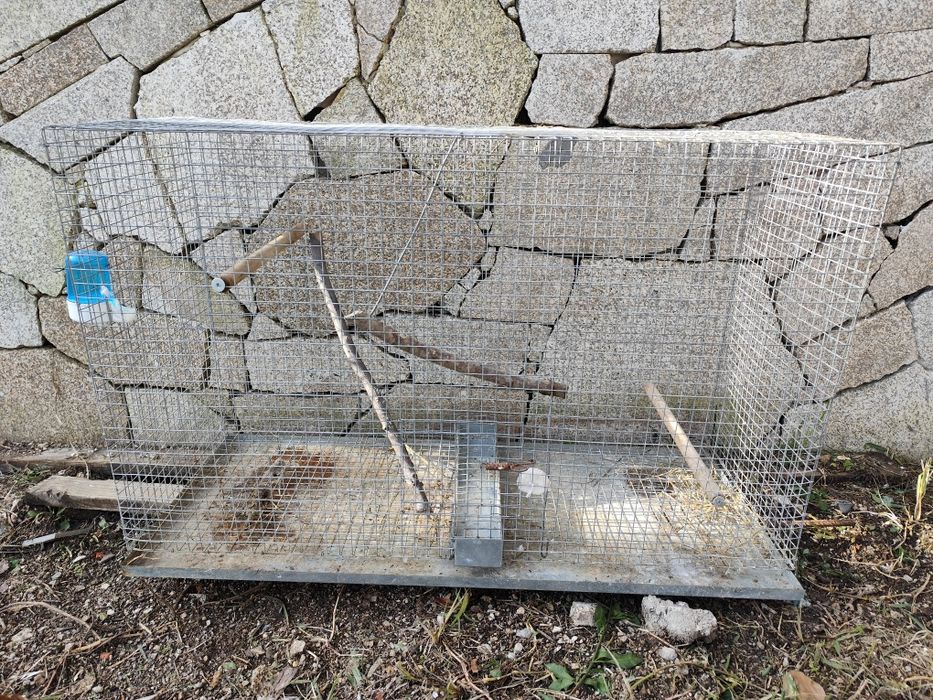 Material de criação de pássaros