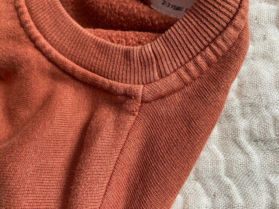 Bluza Bobo Choses dog pies roz 98 2-3 lata