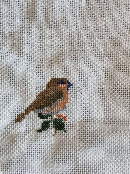 Conjunto de pássaros ponto de cruz