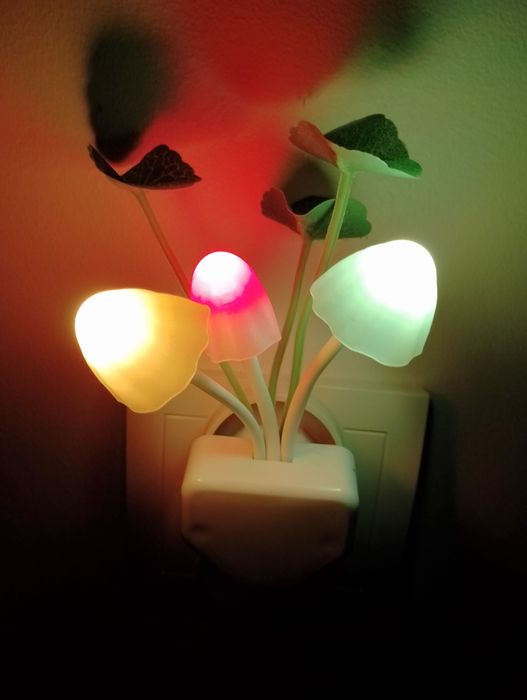 Lampka Led do kontaktu.