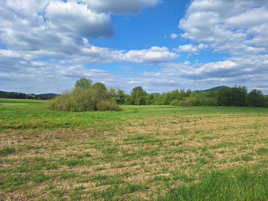 Działka rolno-budowlana