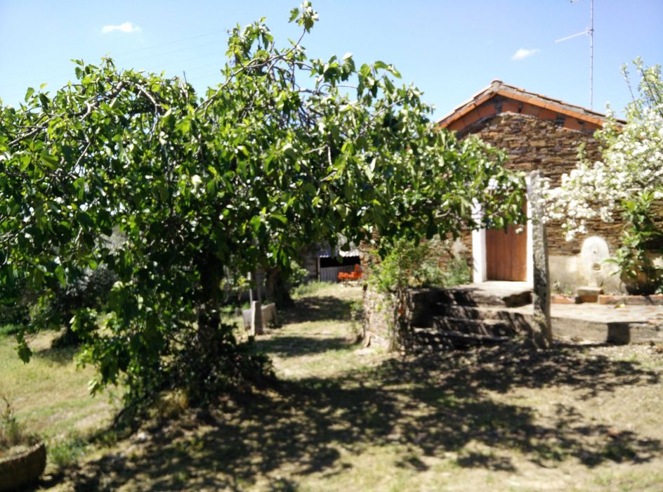 Terreno rústico com casa - Padrão Almaceda