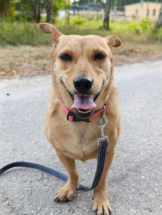 Nadia szuka kochającej rodziny