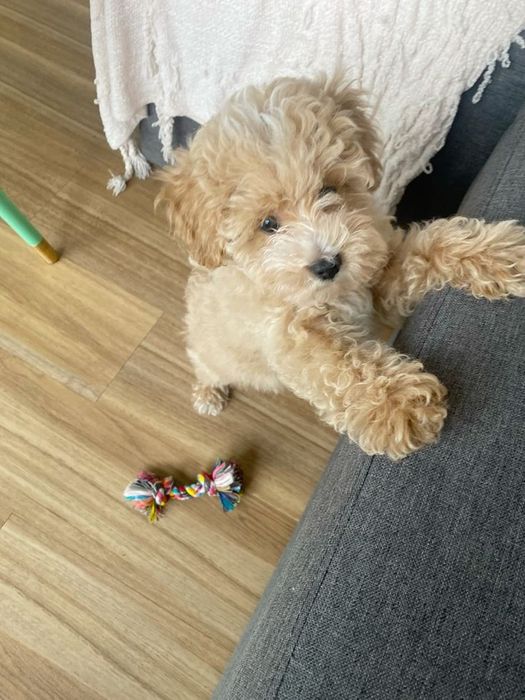 Когда дом становится теплее без лишних слов