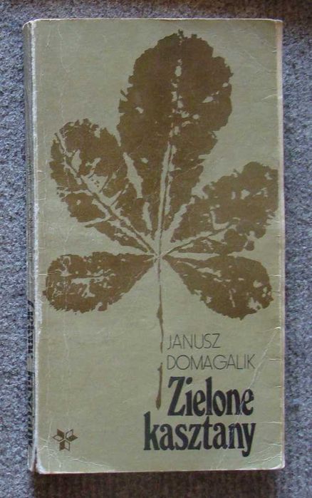 Pakiet książek dla młodzieży - głównie stare, dobre tytuły