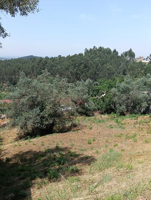 Terreno para construção - São Paulo de Frades