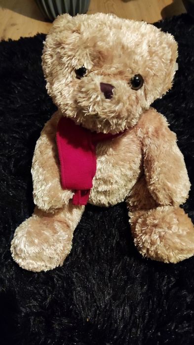 Pluszak Bear Factory