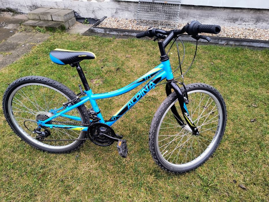 Rower Alpina 24 cale